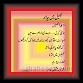 Jheel mein chand 02 * 05.05.2007 * 458 x 579 * (26KB)